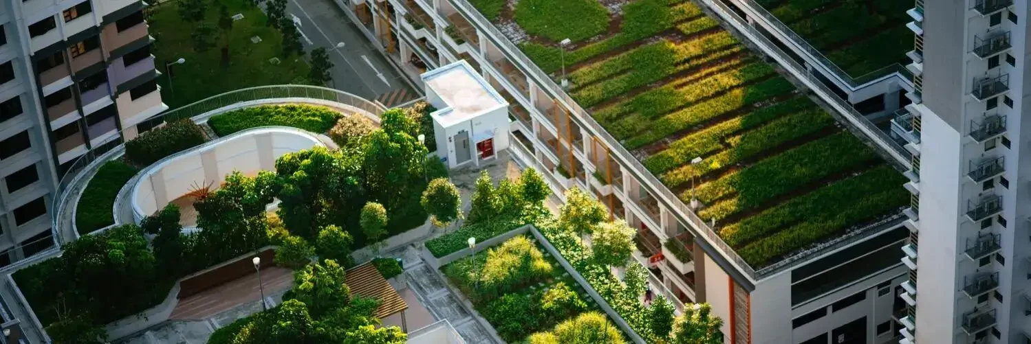 EDGE certification Nigeria for energy efficient buildings — Fronthill Controls sustainability consultant